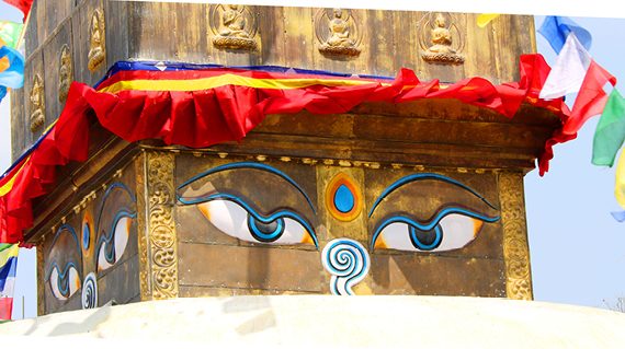 himalaya_570X3203