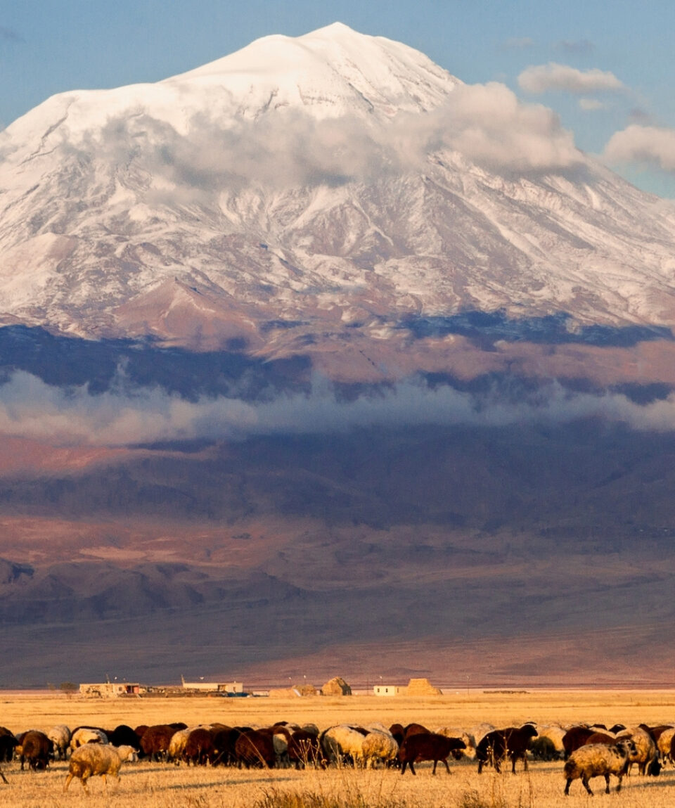 ararat1