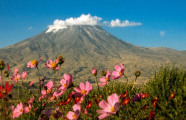 ararat2