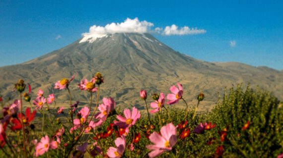 ararat2